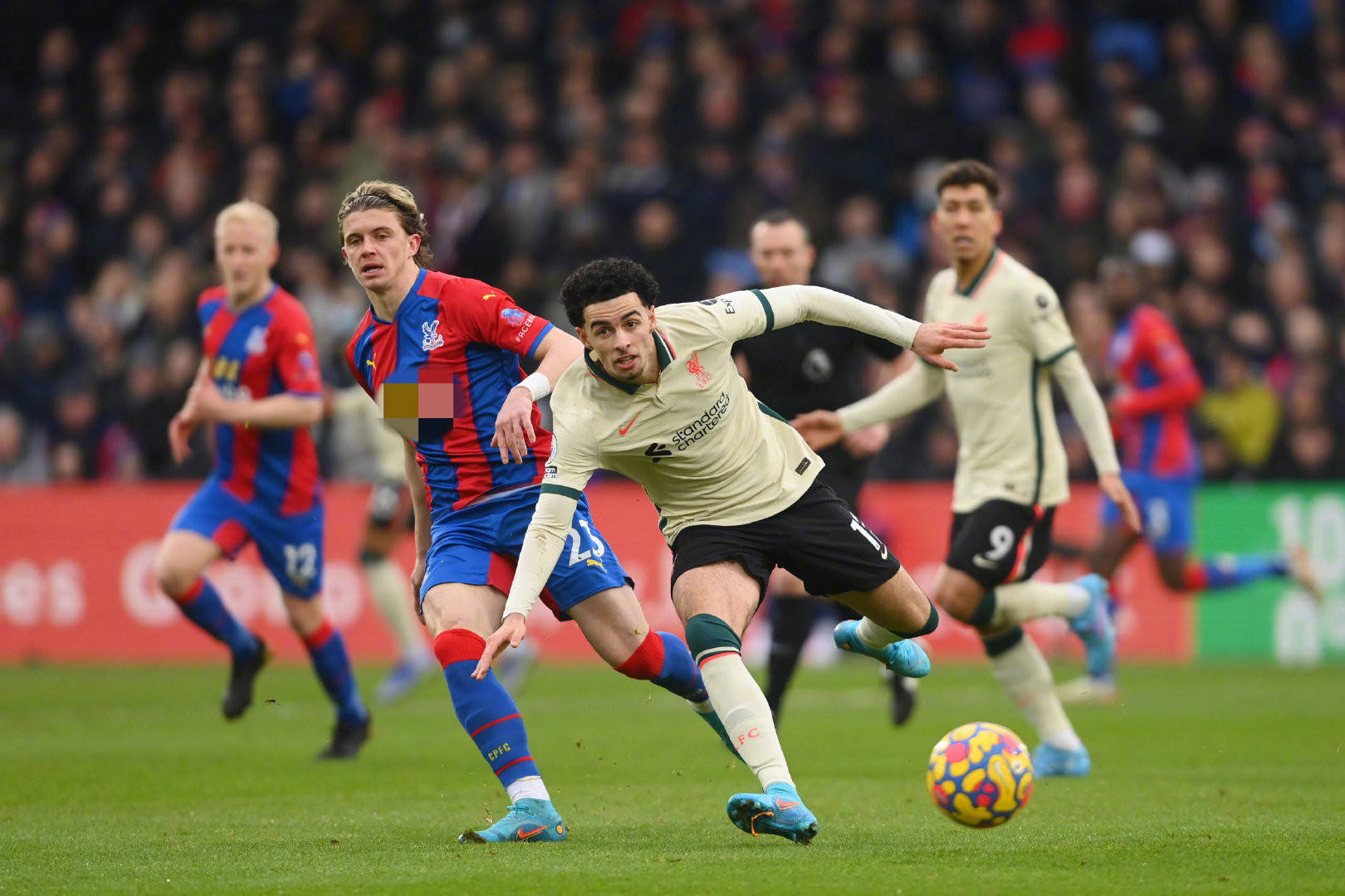 手捧蛋糕甜 手捧蛋糕甜